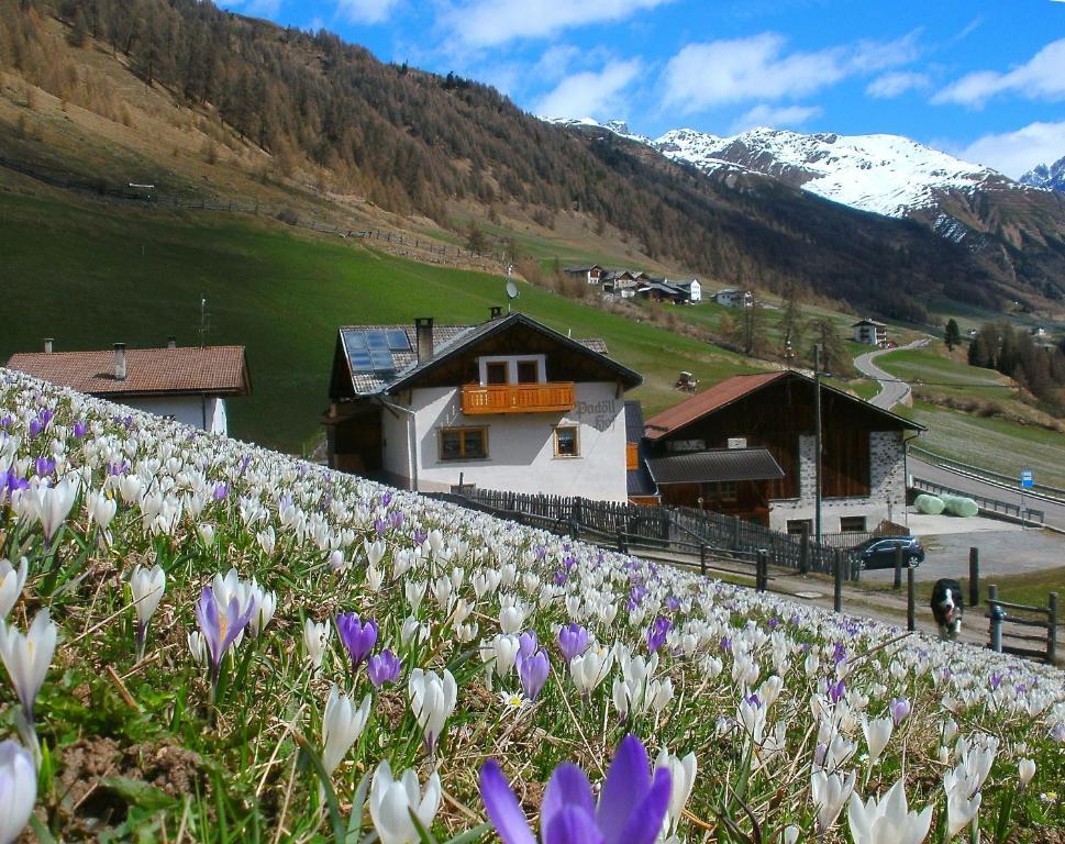 Padoellhof Villa Курон Веноста Екстериор снимка